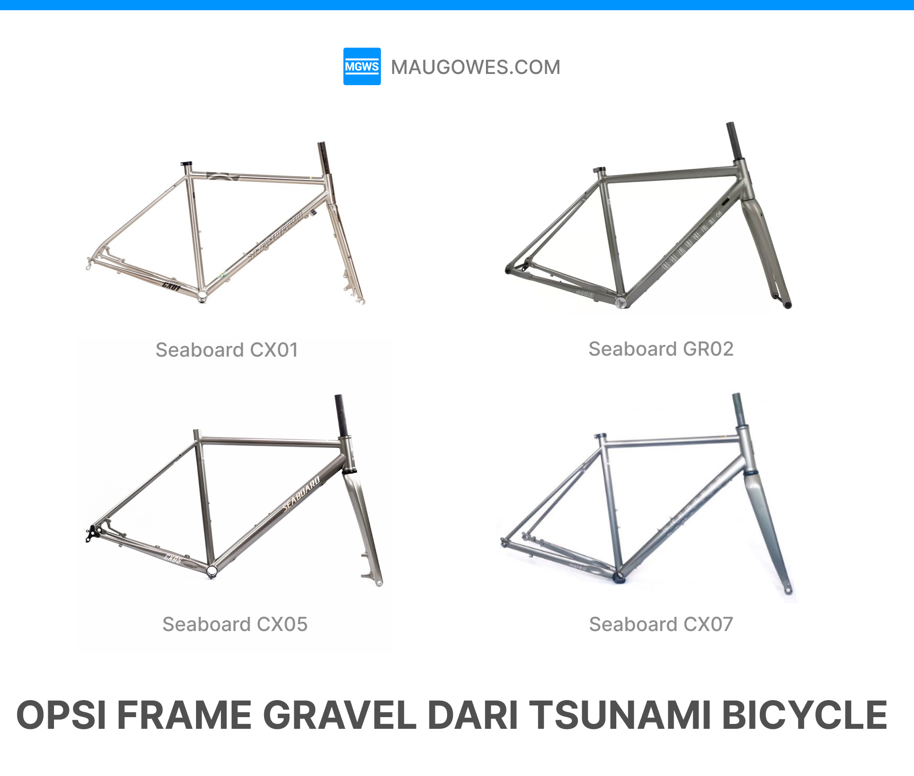 Opsi Frame Gravel Bike dari Tsunami Bicycle